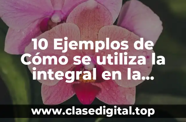 10 Ejemplos de Cómo se utiliza la integral en la electricidad