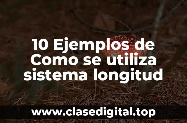 10 Ejemplos de Como se utiliza sistema longitud