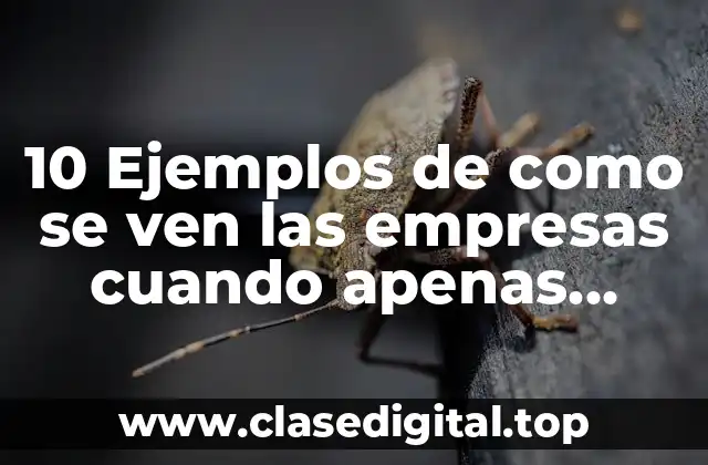 10 Ejemplos de como se ven las empresas cuando apenas empiezan