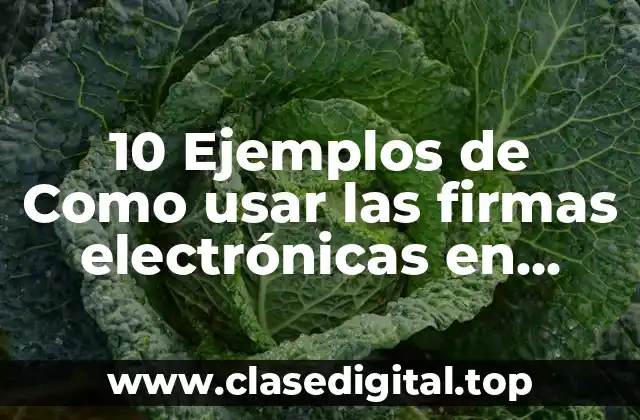 10 Ejemplos de Como usar las firmas electrónicas en México