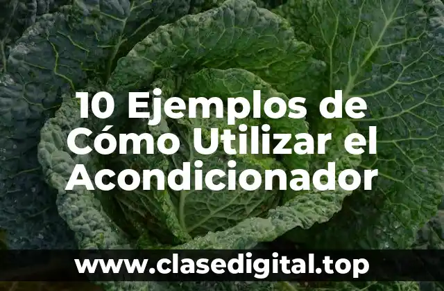 10 Ejemplos de Cómo Utilizar el Acondicionador