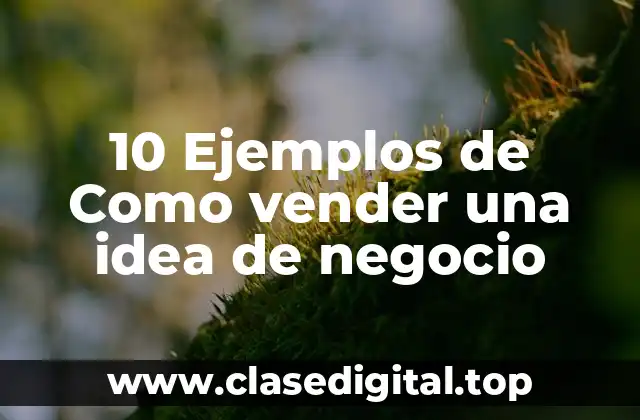 10 Ejemplos de Como vender una idea de negocio