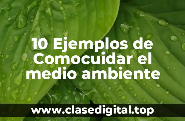 10 Ejemplos de Comocuidar el medio ambiente