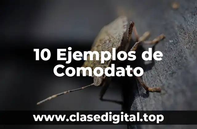 10 Ejemplos de Comodato