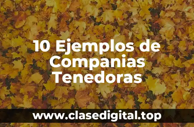 10 Ejemplos de Companias Tenedoras