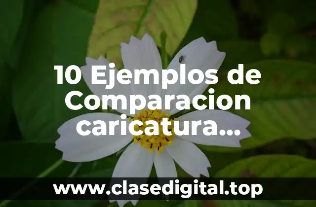 10 Ejemplos de Comparacion caricatura periodistica