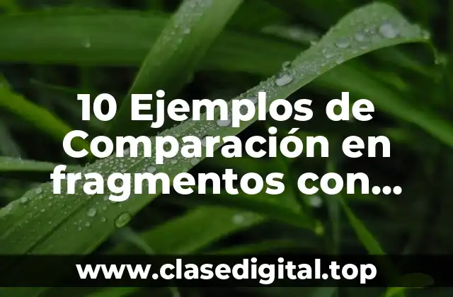 10 Ejemplos de Comparación en fragmentos con autor