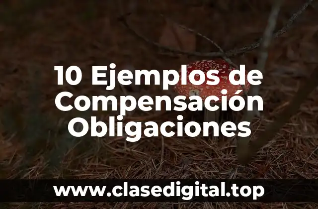 10 Ejemplos de Compensación Obligaciones