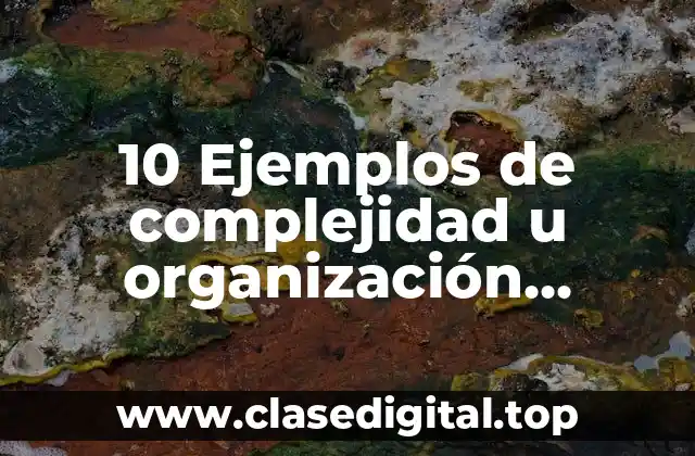 10 Ejemplos de complejidad u organización biológica