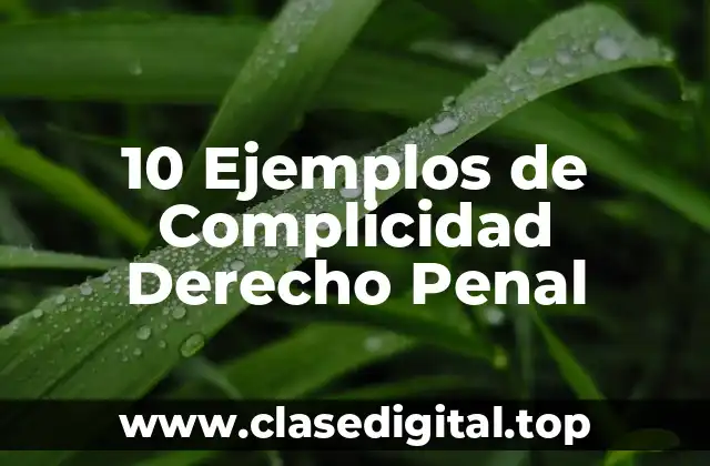 Ejemplos de Complicidad Derecho Penal