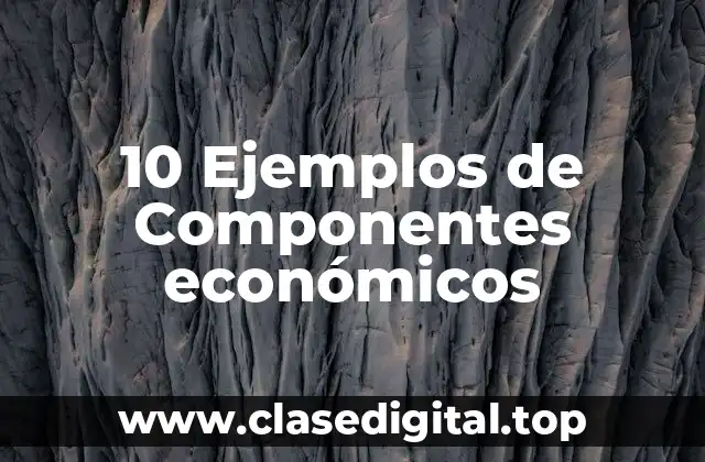 Ejemplos de componentes económicos