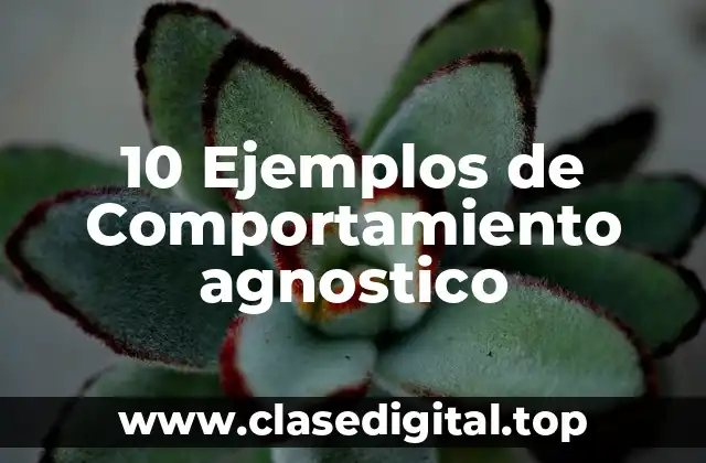 10 Ejemplos de Comportamiento agnostico