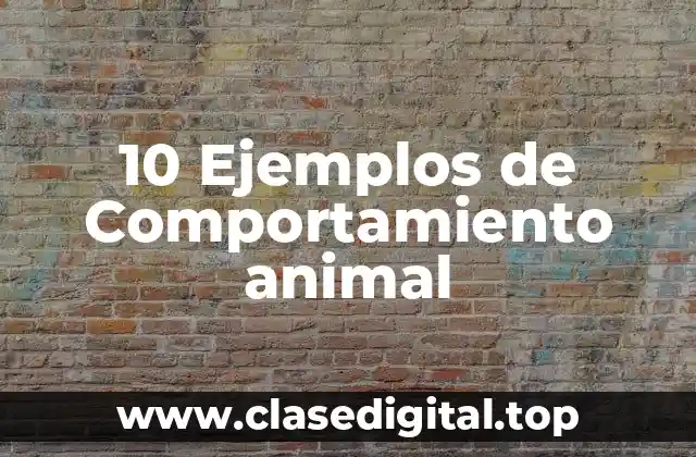 10 Ejemplos de Comportamiento animal