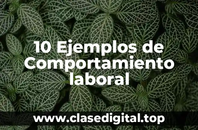 Diferencia entre comportamiento laboral y comportamiento personal