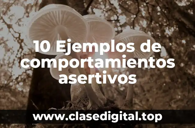 10 Ejemplos de comportamientos asertivos