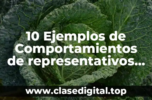10 Ejemplos de Comportamientos de representativos de las personas
