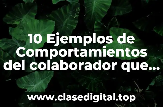 10 Ejemplos de Comportamientos del colaborador que generan resultados