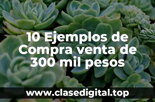 10 Ejemplos de Compra venta de 300 mil pesos