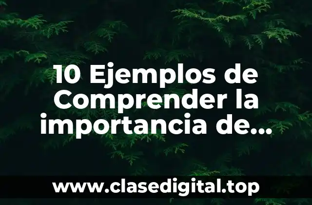 10 Ejemplos de Comprender la importancia de explicar una referencia