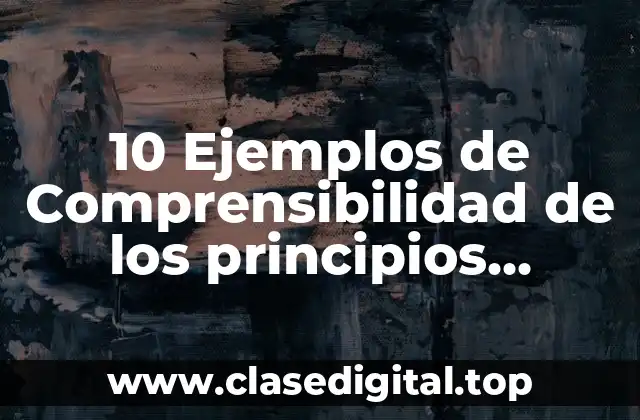 10 Ejemplos de Comprensibilidad de los principios contables