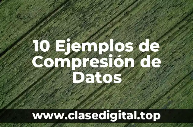 10 Ejemplos de Compresión de Datos