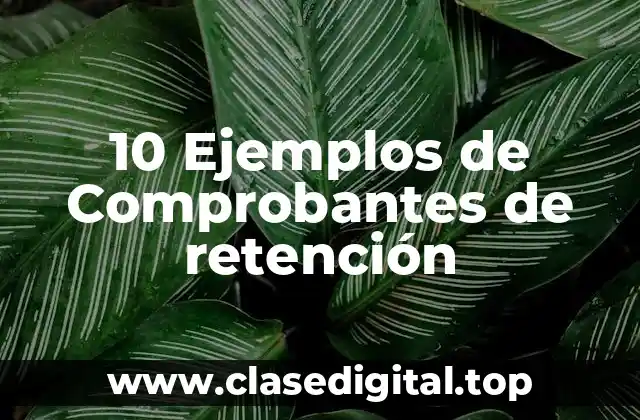 10 Ejemplos de Comprobantes de retención