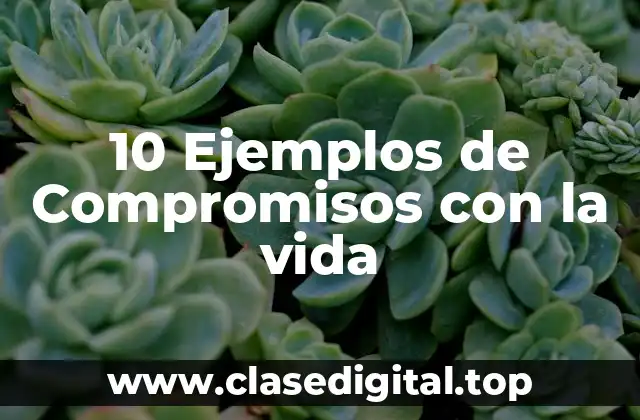 10 Ejemplos de Compromisos con la vida