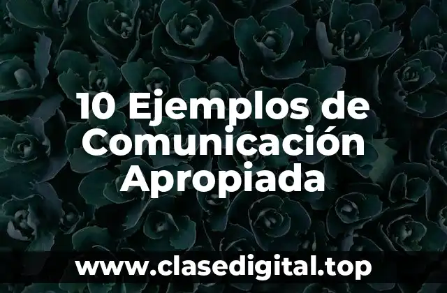 10 Ejemplos de Comunicación Apropiada