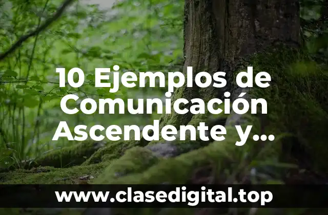 10 Ejemplos de Comunicación Ascendente y Descendente