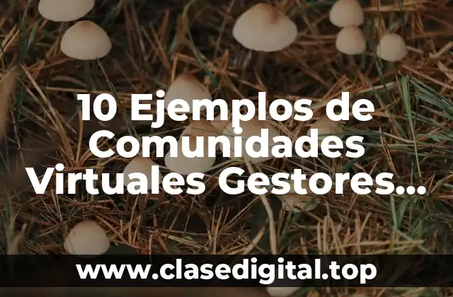 10 Ejemplos de Comunidades Virtuales Gestores de Contenido