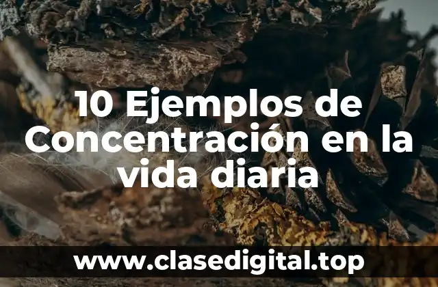 10 Ejemplos de Concentración en la vida diaria