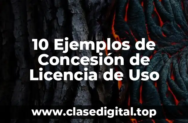 10 Ejemplos de Concesión de Licencia de Uso