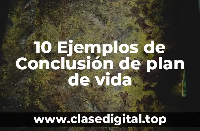 10 Ejemplos de Conclusión de plan de vida