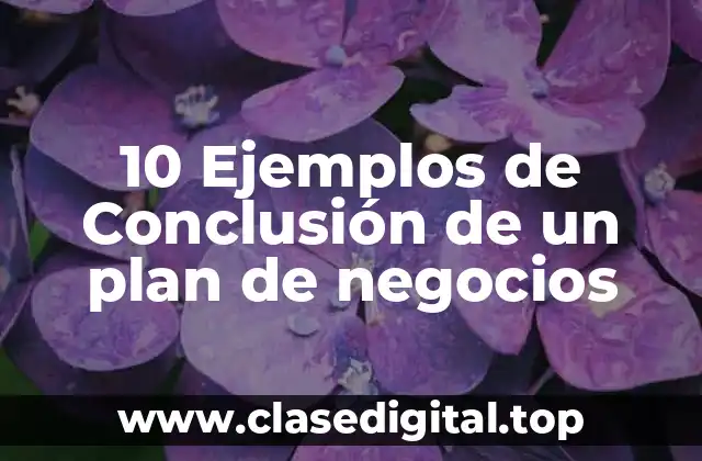 Ejemplos de Conclusión de un plan de negocios
