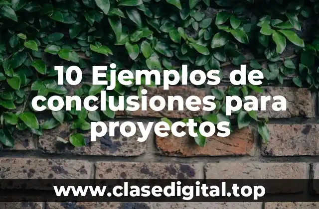 Ejemplos de conclusiones para proyectos