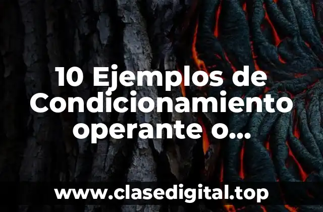 10 Ejemplos de Condicionamiento operante o instrumental