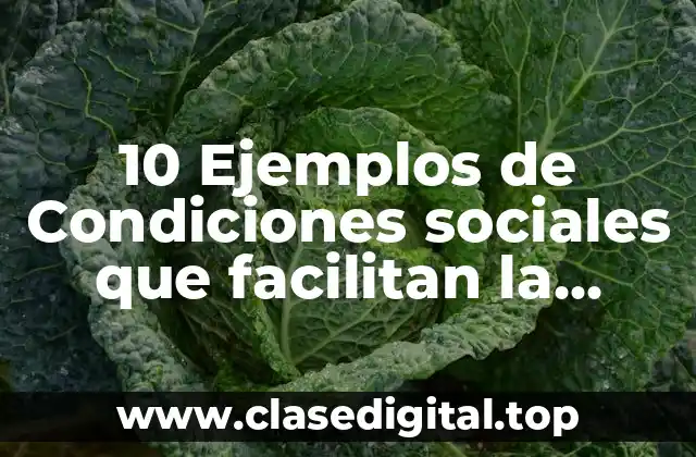 Ejemplos de Libertad