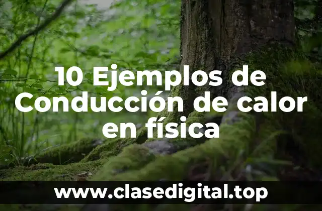 10 Ejemplos de Conducción de calor en física