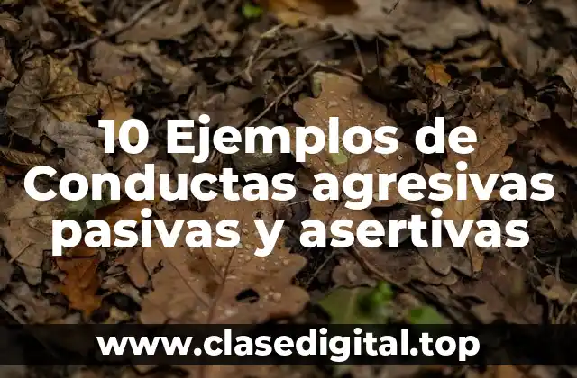 10 Ejemplos de Conductas agresivas pasivas y asertivas