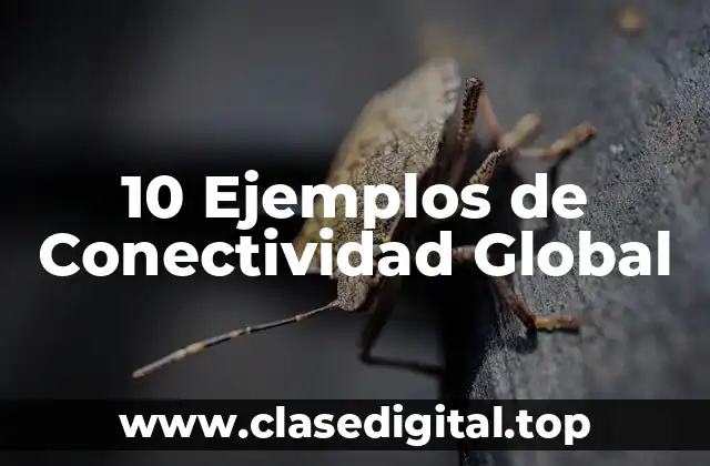 10 Ejemplos de Conectividad Global