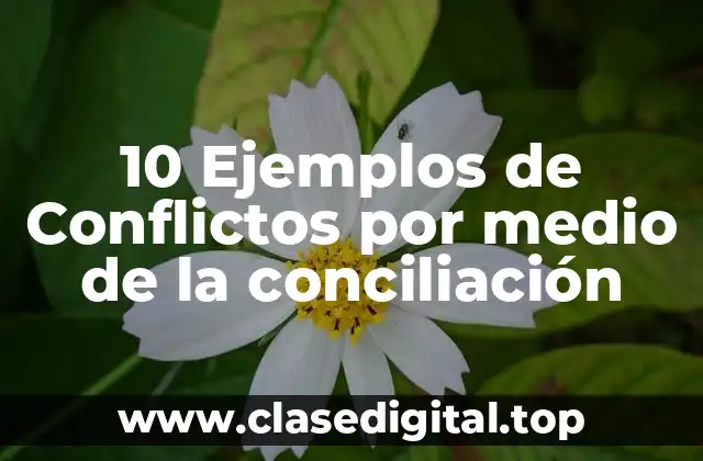 10 Ejemplos de Conflictos por medio de la conciliación