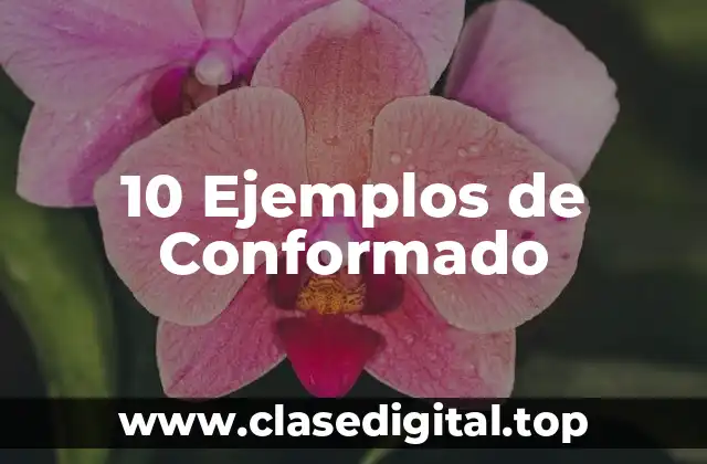 10 Ejemplos de Conformado