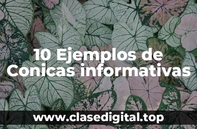 10 Ejemplos de Conicas informativas