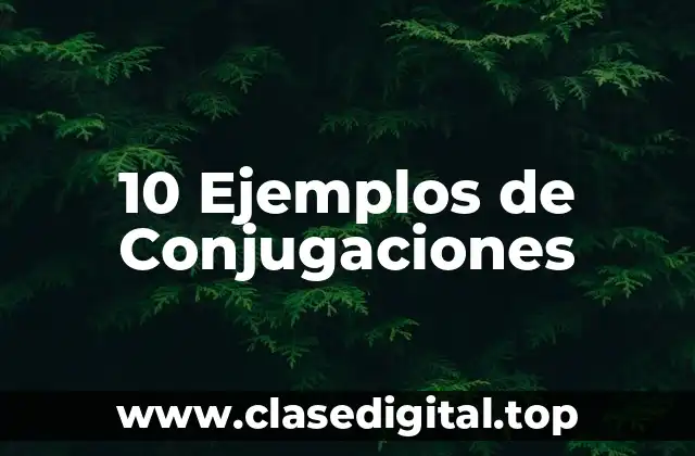 10 Ejemplos de Conjugaciones