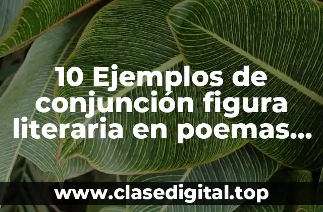 10 Ejemplos de conjunción figura literaria en poemas, Definición, Diferencias y para que sirve