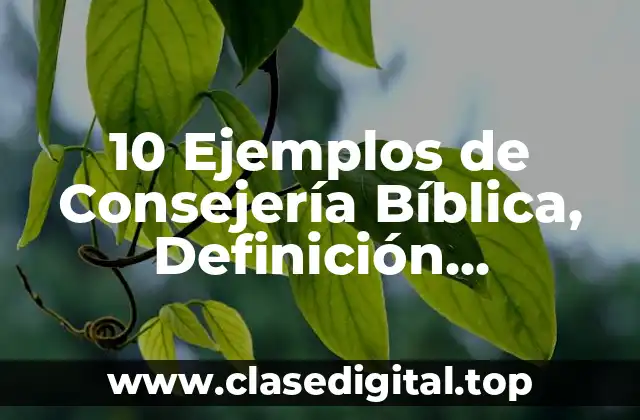 10 Ejemplos de Consejería Bíblica, Definición, Diferencias y para que sirve