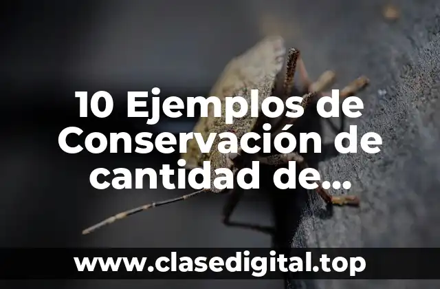 Ejemplos de conservación de cantidad de movimiento