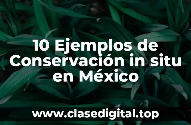 10 Ejemplos de Conservación in situ en México