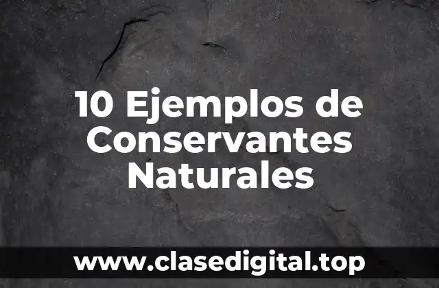 10 Ejemplos de Conservantes Naturales