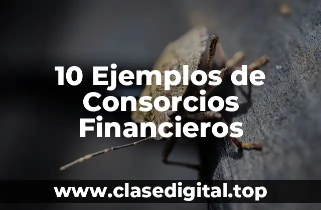 10 Ejemplos de Consorcios Financieros